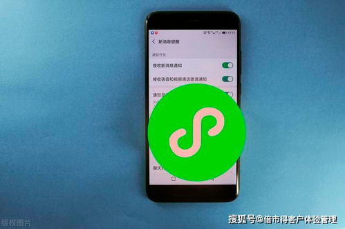 微信 拍了拍 又火了 從互聯(lián)網(wǎng)三大 頭牌 的成功談?wù)勼w驗(yàn)管理
